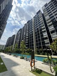 Tenet (D18), Condominium #536960511